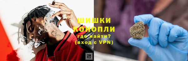 дживик Белокуриха