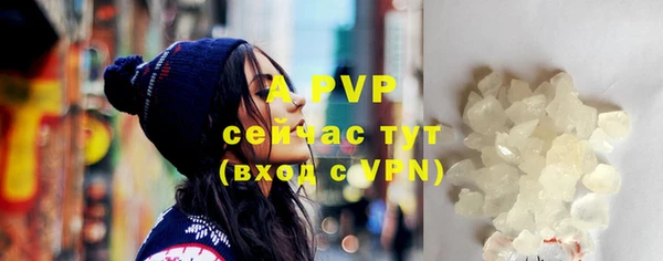 дживик Белокуриха