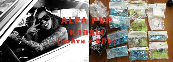 дживик Белокуриха