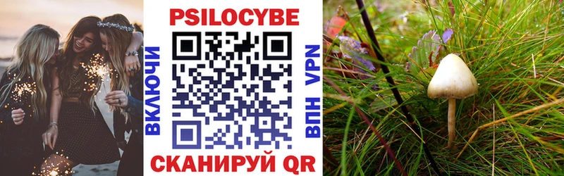 купить наркотики цена  Тайга  Псилоцибиновые грибы мицелий 